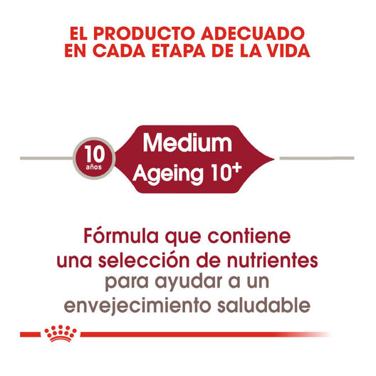 Royal Canin Medium 10+ Ageing pienso para perros, , large image number null